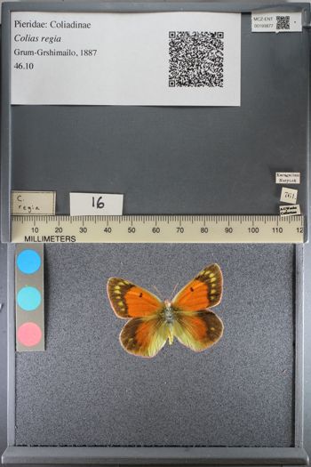 Media type: image;   Entomology 193877